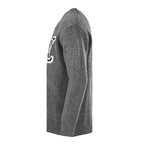 Louis Vuitton Trendy Sweatshirt