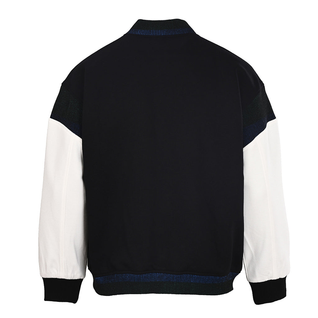 Louis Vuitton Classic Jacket