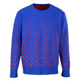 Louis Vuitton Trendy Sweatshirt