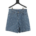 Louis Vuitton New Denim Shorts